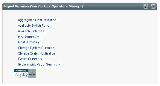 Screen capture of the Report Organizer portlet.