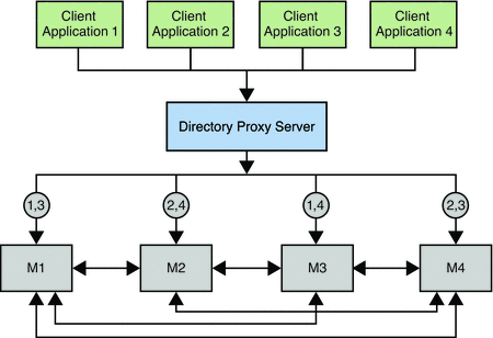 Figure shows Directory Proxy Server balancing requests based
on client application.