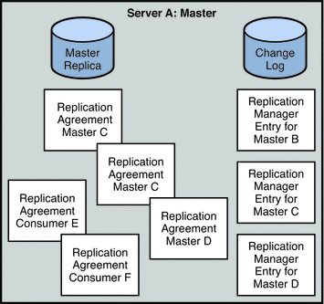 Figure shows the replication agreements, change logs,
and Replication Manager entries in a fully meshed replication topology.