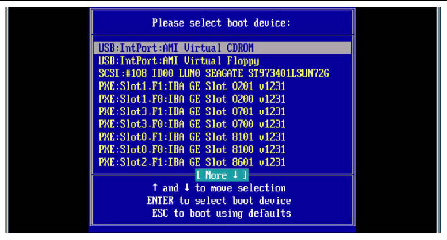 Boot Device Menu