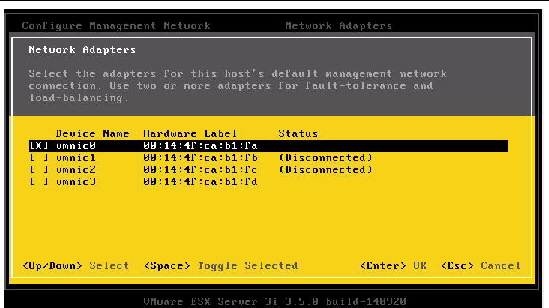 Graphic showing the VMware Network Adapters Dialog.