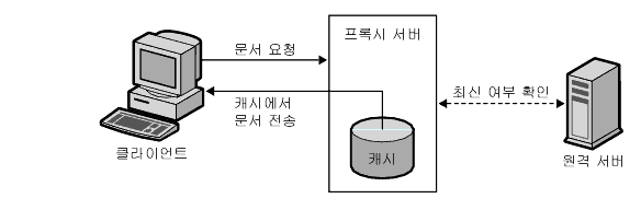 proxy server