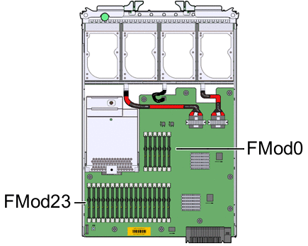 FMod0 の場所を示す図。