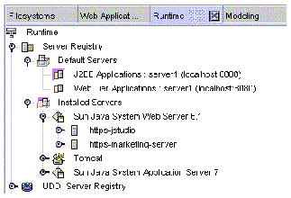 IDE Runtime window's Server Registry showing web server instances under Sun Java System Web Server 6.1 node.