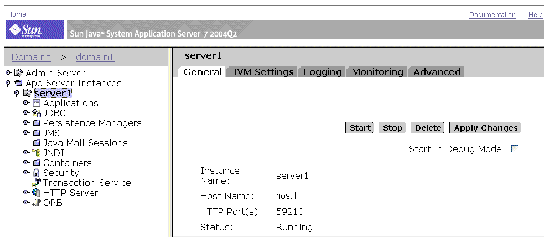 Application Server Console showing server1 status.