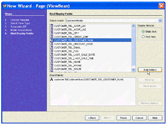 This figure shows the Bind Display Fields panel of the New Page (ViewBean) Wizard. 