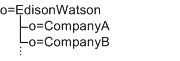 Organization for a hosting company that provides internet service
to two other companies