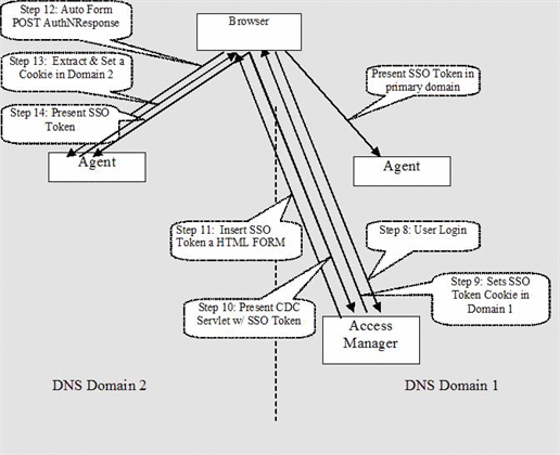 Selected Steps in CDSSO Exchange