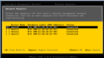 ESXi Network Adapter settings