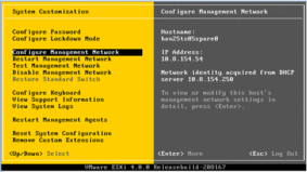 ESXi Network Adapter Configuration