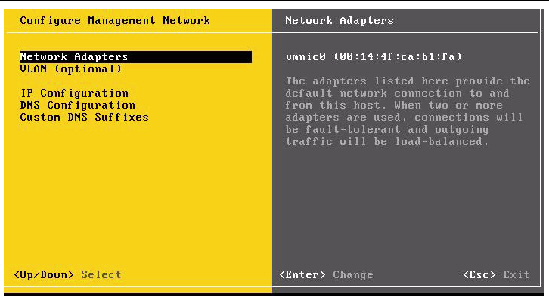 Graphic showing the VMware Network Configuration Dialog.