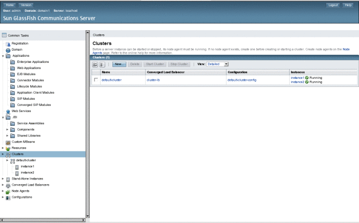 Admin Console shows the newly created cluster with two
running instances