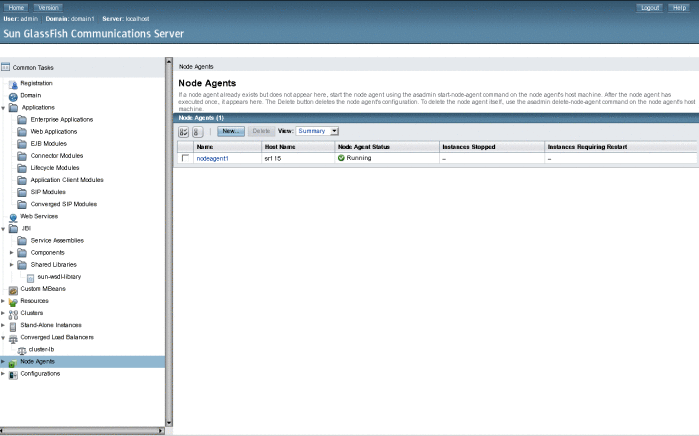 The Admin Console lists the node agent that you just
created, after you start it. 