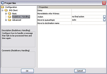 Screen capture showing the configuration dialog
for a JMS client.