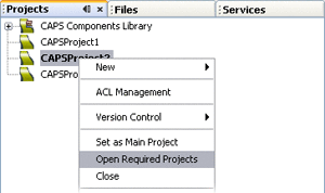 Screen capture of a Project context menu.