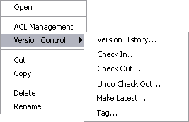 Screen capture of a typical Project Component
context menu.