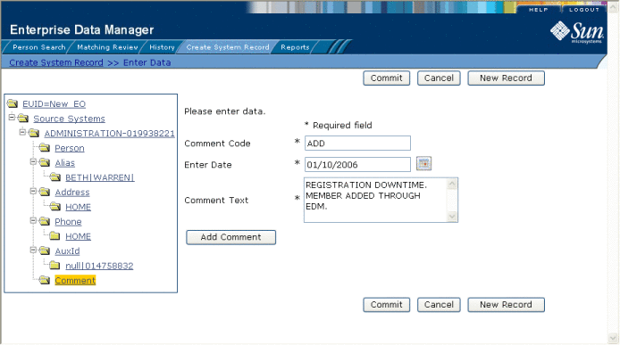 Figure shows the Comments view of the Create System Record
page.