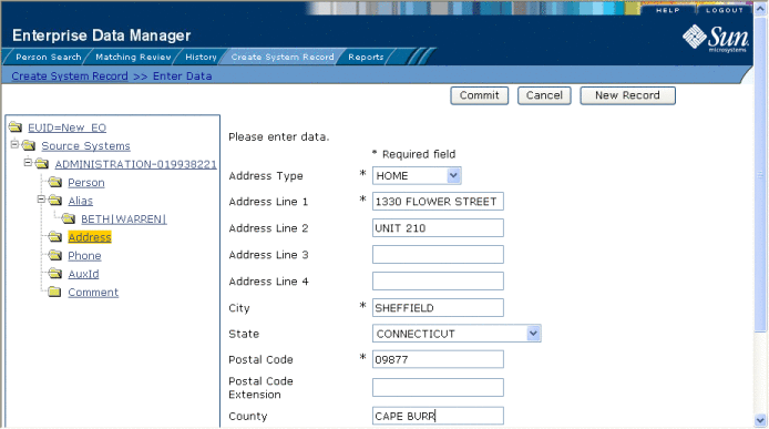 Figure shows the Address view on the Create System Record
page.