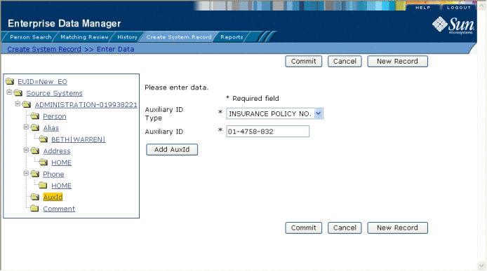 Figure shows the Auxiliary ID view on the Create System
Record page.