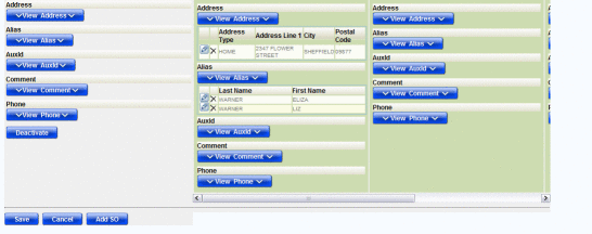 Figure shows a child object list on the Record Details
page.