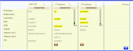 Figure shows an entry in the results of a Duplicate Records
search.