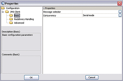 Screen capture of Basic Configuration Properties
dialog for JMS Consumer.