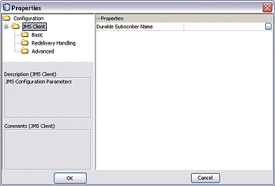 Screen capture of Root Configuration Properties
dialog for JMS Subscriber.