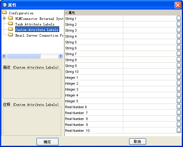 该图显示了 Worklist Manager 外部系统“属性”窗口中的 "Custom Attribute Labels" 页。