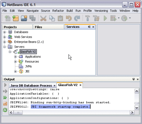 GlassFish Startup