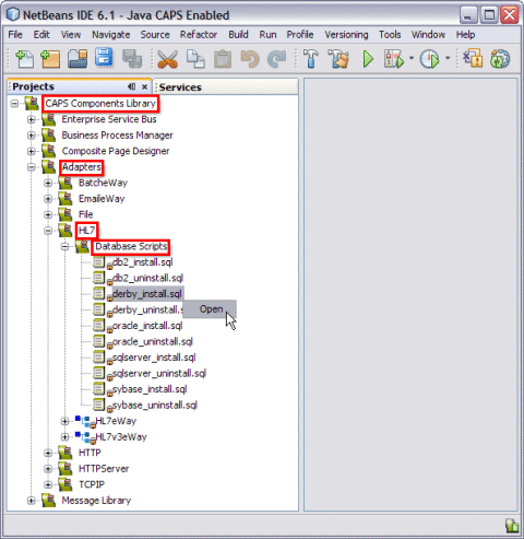 Figure shows the HL7 Message Library structure
in the Projects window.