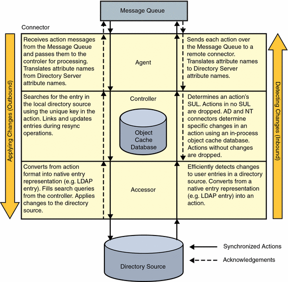 Action Paths