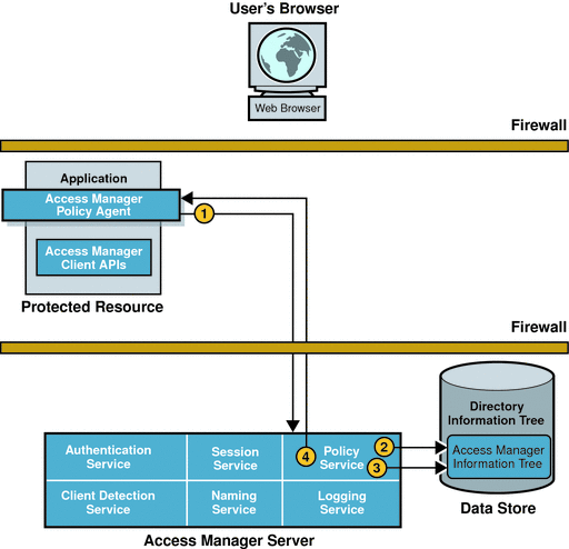 Policy evaluation process. Details are provided
in the accompanying body text.