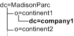 DIT structure that is manageable using Access Manager