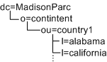 Example of a DIT that is unsupported by Access Manager