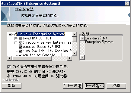 Java ES 安装程序中“自定义安装”页面的页面捕获示例。