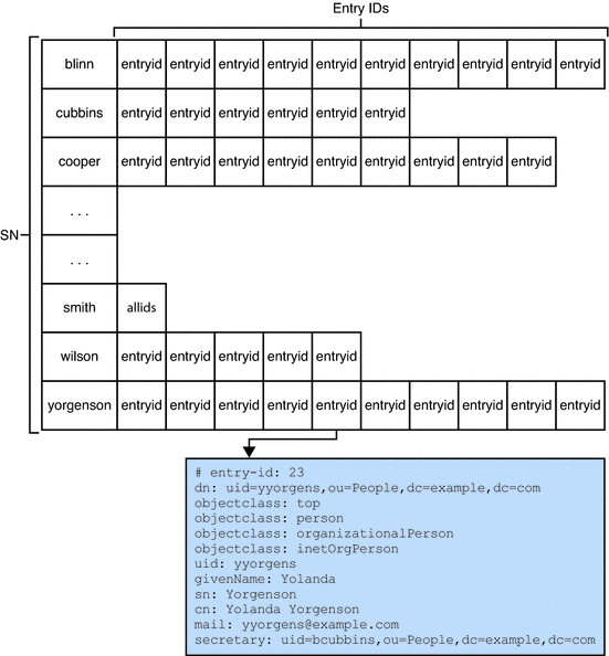 Illustration of a equality index for the sn attribute.