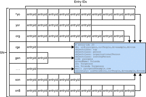 Illustration of a substring index for the SN attribute.