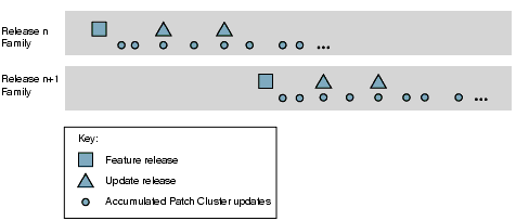 Illustration showing the three types of releases within a Java ES release family: feature releases and two kinds of maintenance releases.