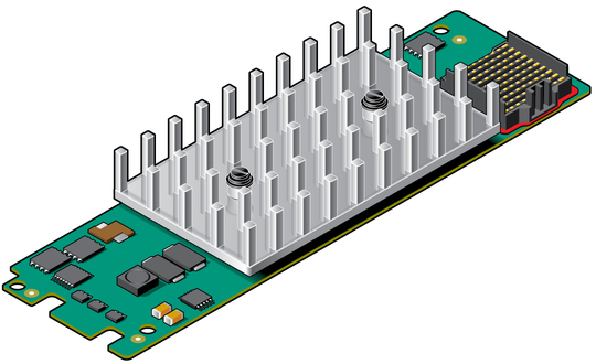 Illustration of the Sun Dual 10GbE PCIe Fabric Expansion Module.