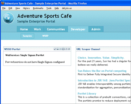 This is a screen shot of the Enterprise Sample Developer
tab.