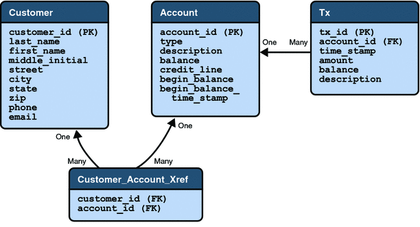 A diagram showing the bank_customer, bank_account, bank_tx,
and bank_customer_account_xref database tables and their relationships.