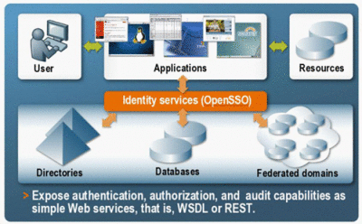 Illustration of Identity Web Services process