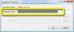 Repository Properties window