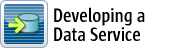 Developing a Data Service