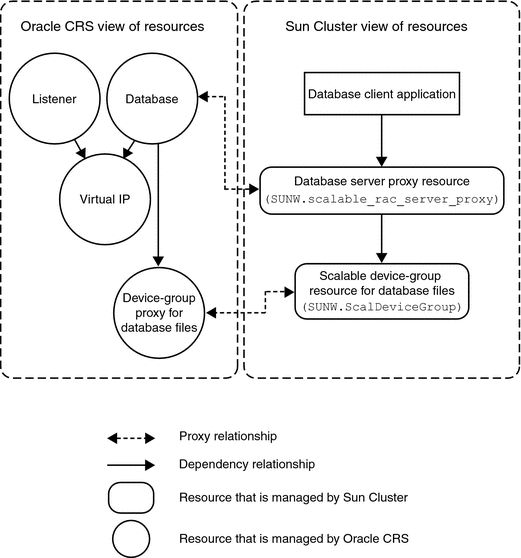 Diagram showing proxy resources for Oracle 10g or 11g
configurations with a volume manager