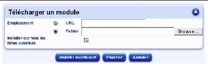 Cette copie d'&eacute;cran illustre le tableau qui permet d'ajouter un nouveau module de contr&ocirc;le. Elle contient les boutons Installer maintenant, Planifier et Annuler.