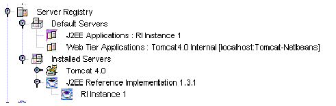 Screenshot of a section of the Explorer window, runtime tab, showing the Server Registry Node and its default subnodes.	
