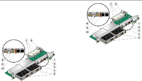 Figure displaying the main components of the Sun Netra CP32x0 SAS Storage Advanced Rear Transition Module, Dual HD.