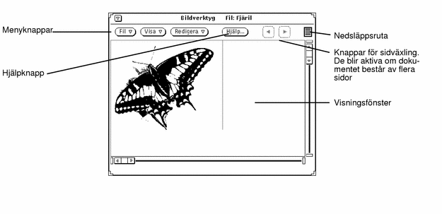 Graphic