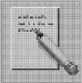 Graphic